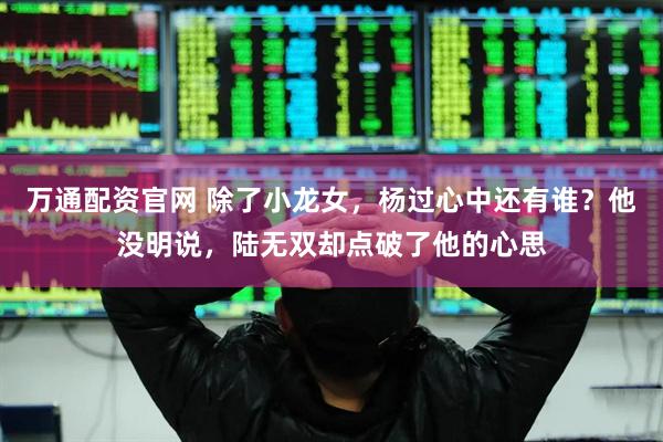 万通配资官网 除了小龙女，杨过心中还有谁？他没明说，陆无双却点破了他的心思